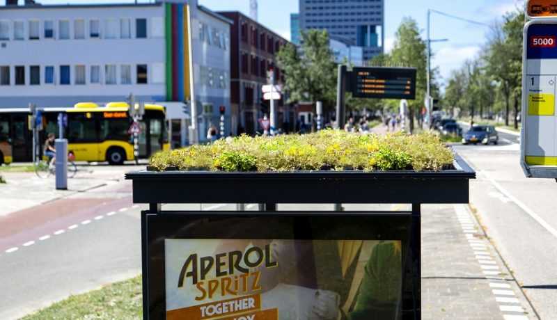 اوترخت ایجاد 300 ایستگاه اتوبوس دوستانه زنبور عسل