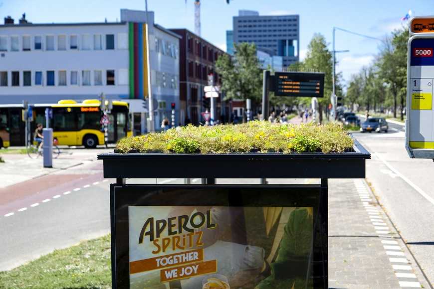 اوترخت ایجاد 300 ایستگاه اتوبوس دوستانه زنبور عسل